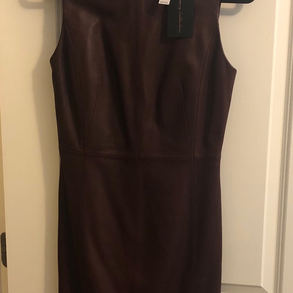 Burgundy Leather Dress - Picture 4 of 4